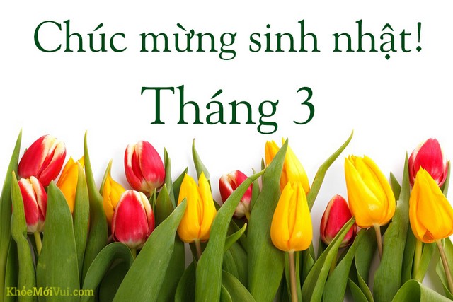 Chuc Mung Sinh Nhat Thang 3